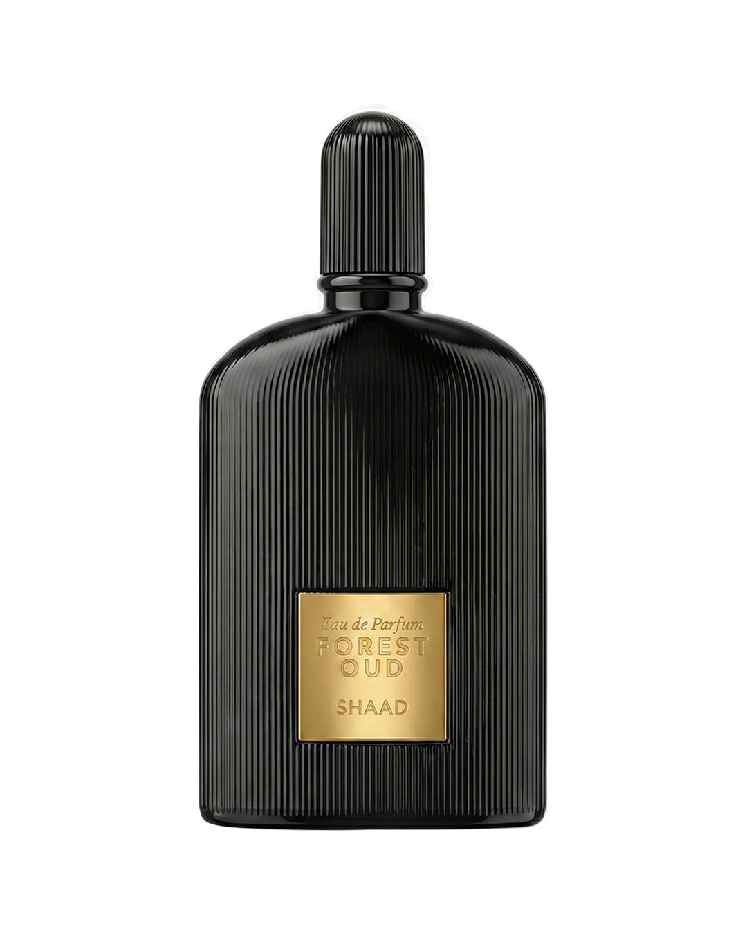 FOREST OUD